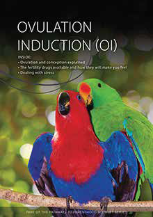 Ovulation Induction (OI)